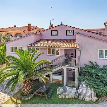 Viola メドゥリン